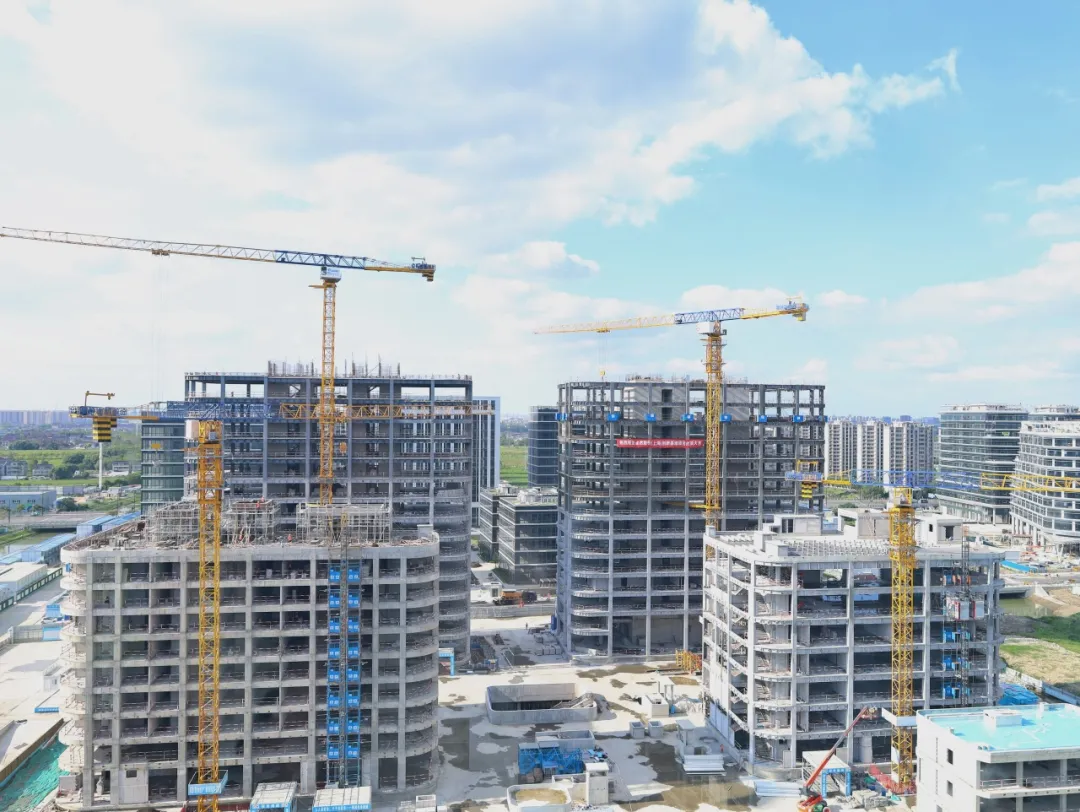 ͬ��ͬ�� ������ | AG��˾�ɷ�2024��������ȶ�̬����